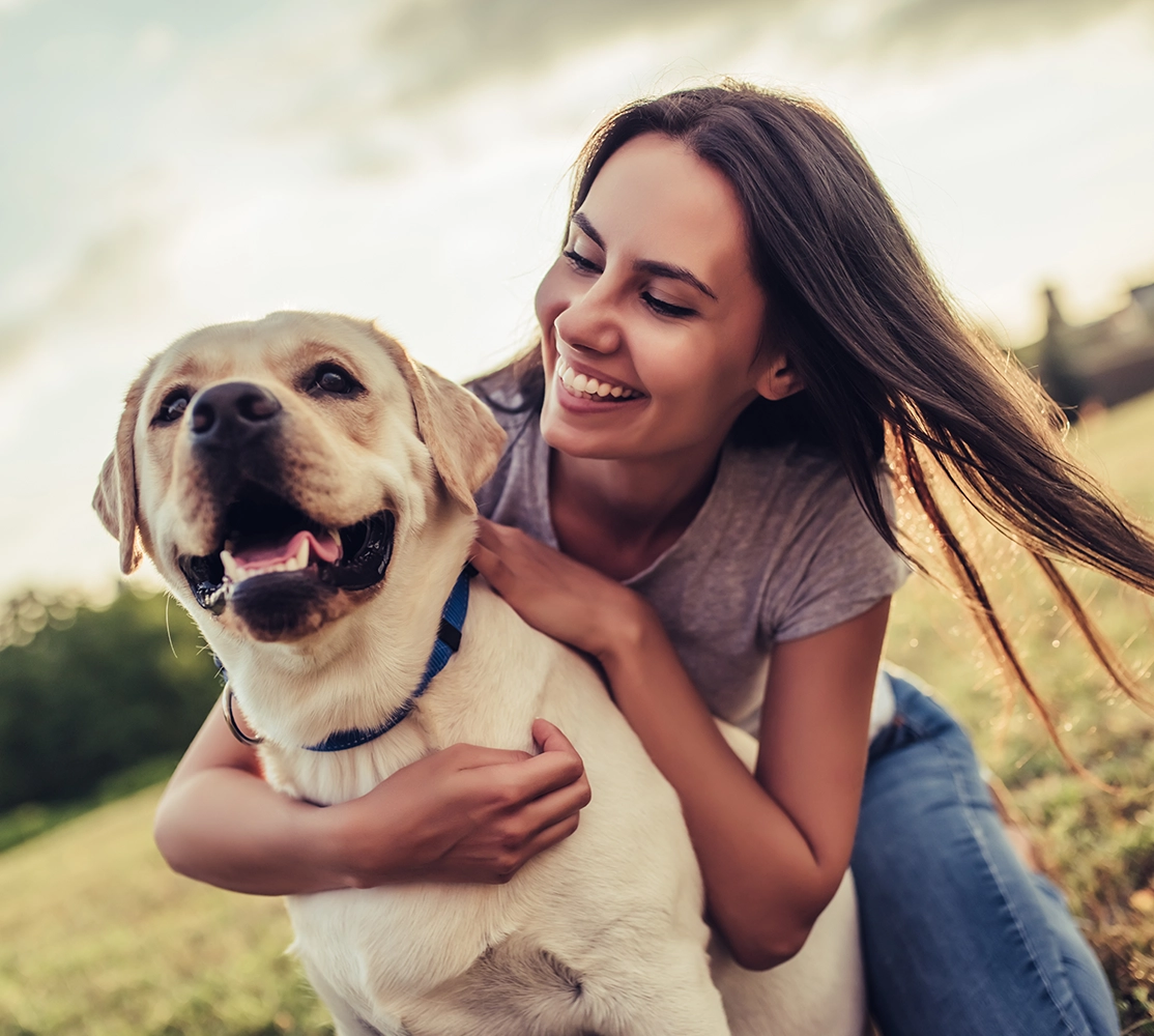 REELAX Pet Products